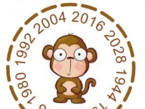 میمون چوبی در طالع بینی چینی: سال ها، ویژگی ها